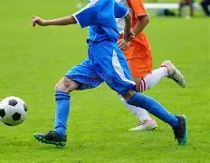 电子,产品,MG电子,MG官网,MG入口,MG平台,MG官方