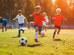 电子,产品,MG电子,MG官网,MG入口,MG平台,MG官方