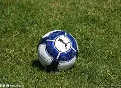 費爾南德斯,強調,西蒙斯每場,MG官网,MG入口,MG平台,MG官方