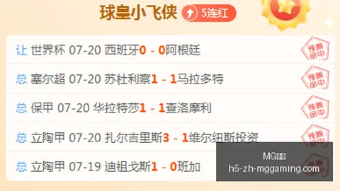 电子 ，MG电子官网，163228 4